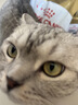 皇家猫粮 美短成猫粮 ASA31 通用粮 12月以上 4.5KG 实拍图