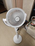 艾美特（AIRMATE）【小暴风PRO】空气循环扇家用大风力摇头电风扇卧室安静轻音小风扇桌面台式节能落地扇电扇 X231 实拍图