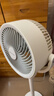 艾美特（AIRMATE）【小暴风】空气循环扇大风量摇头电风扇家用台式落地扇升级加高换气轻音柔风小风扇 FA18-X115 实拍图