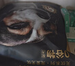 京东京造狗粮成犬幼犬通用全价无谷鸡肉配方狗粮10kg/20斤金毛贵宾 实拍图