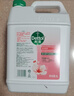 滴露（Dettol）洗手液补充装大桶消毒滋润5L 儿童家庭装杀菌护手 实拍图