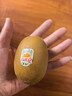 佳沛（zespri）新西兰 新果季 阳光金奇异果10粒巨大果单果146-175g 猕猴桃 实拍图