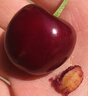京觅大连美早樱桃车厘子 2J级净重1斤 单果10-12g水果礼盒 源头直发 实拍图