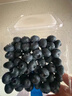 怡颗莓Driscoll's 云南蓝莓14mm+ 12盒装 约125g/盒 新鲜水果礼盒 实拍图