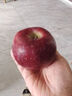 京鲜生 天水花牛苹果 净重4.5斤 单果170g+ 生鲜水果源头直发 实拍图