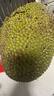 京鲜生 海南菠萝蜜 18-22斤 净重18斤 生鲜水果 源头直发 实拍图