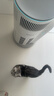霍尼韦尔（Honeywell）霍哈宝H-Cat Hub宠物猫用空气净化器  负离子家用室内空气净化机宠物吸猫毛消毒杀菌KJ520F-C22W 实拍图