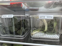 佳帮手冰箱收纳盒保鲜盒食品级密封大容量水果蔬菜鸡蛋泡菜盒7.5L2只装 实拍图