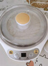 小熊（Bear） 酸奶机 家用全自动米酒机酸奶发酵机 陶瓷4分杯 陶瓷4分杯 黄色SNJ-B10K1 实拍图