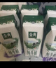 伊利【新鲜日期】金典纯牛奶早餐奶整箱250ml*16盒 3.6g乳蛋白 礼盒装 实拍图