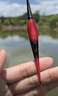 小凤仙日夜咬钩变色夜光漂锤头尾发光漂夜钓电子漂鲫鱼漂加粗醒目近视漂 实拍图