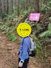 四万公里可折叠双肩包户外登山运动背包跑步徒步轻量越野骑行皮肤包 实拍图