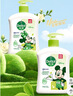 滴露（Dettol）洗手液抑菌杀菌消毒 茉莉绿茶清香500g*2 儿童洗手液家庭 迪士尼 实拍图