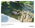 松下（Panasonic）Lumix S5M2 全画幅相机 L卡口 微单相机 无反数码相机 【2060原封套机】+【85mmF1.8白盒】套装 实拍图