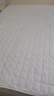 博洋家纺全棉夹棉床笠抑菌可水洗席梦思保护床褥子防尘床罩150*200cm 实拍图