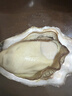 贝司令鲜活乳山生态生蚝2XL 净重9斤 32-38只 生鲜源头直发露营聚会 实拍图