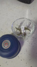 绞肉机小型打蒜器家用绞蒜切蒜器多功能辅食料理机电动蒜泥神器蒜蓉机自动切菜机压蒜器 蓝色升级款 0.26L 加厚玻璃杯 6页刀 实拍图