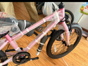 途锐达京东自营超轻儿童自行车3-6岁小女孩单车女童元旦礼物蜂鸟18寸粉 实拍图