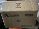 雷士（NVC） 欧美式轻奢墙壁灯 时尚百搭简约大气壁灯 客厅灯具 走廊壁灯饰 花语花瓣壁灯（带7瓦三色光源） 实拍图