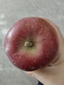 京鲜生 天水花牛苹果 净重4.5斤 单果170g+ 生鲜水果源头直发 实拍图