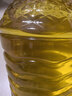 多力【保真菜籽油】芥花油5L 非转基因高油酸食用油粮油植物油 实拍图