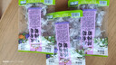 三只松鼠陈皮梅有葡萄100g*3袋酸甜果脯蜜饯葡萄夹心开胃果干休闲零食 实拍图
