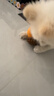 欢宠网宠物狗狗玩具耐咬磨牙漏食球自己玩解闷神器小狗幼犬边牧比熊金毛 实拍图
