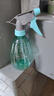 喷壶浇花浇水喷雾器气压式喷水壶家用园艺养花500ml 南瓜喷壶透蓝【1个装】 实拍图
