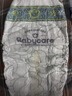 babycare金山茶花婴儿纸尿裤mini装L20片(9-14kg)尿不湿透气超薄透气 实拍图