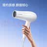 飞科电吹风机家用大风力护发速干大功率风筒可折叠宿舍用学生送女友520礼物 FH6232【白色】 实拍图
