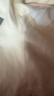戴维贝拉（DAVE＆BELLA）洋气女童连裤袜儿童打底袜女宝宝秋装婴幼儿裤袜春秋 米白【DB17665-A】 3-4岁 110cm（建议身高100-110cm） 实拍图