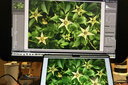 明基（BenQ）SW272QN 专业设计摄影显示器 27英寸2K广色域10bit影视后期调色 实拍图