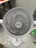 艾美特（AIRMATE）【小暴风PRO】空气循环扇家用大风力摇头电风扇卧室安静轻音小风扇桌面台式节能落地扇电扇 X231 实拍图