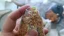 扬子江炒米1000g（约24包）原味香脆炒米休闲零食独立小包 实拍图