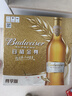 百威金尊啤酒500ml*12瓶整箱装Supreme 京东自营喜酒 实拍图
