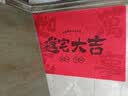 欧派入户门地垫红色丝圈进门脚垫玄关家用乔迁喜庆除尘地毯 实拍图