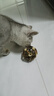 欢宠网猫薄荷球猫玩具猫咪磨牙棒逗猫自嗨解闷神器磨牙猫猫小猫幼猫宠物 实拍图
