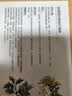 珍视明忆江南系列艾草 热敷蒸汽眼罩10片 遮光睡眠眼罩 实拍图
