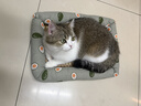licheers猫狗窝凉席小型犬宠物猫咪睡垫夏季床垫泰迪中大型犬狗垫子 S号 实拍图