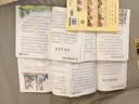 全10册革命红色经典书籍儿童文学 7-10岁注音版少儿读物小兵张嘎小英雄雨来铁道游击队长征抗日英雄的人物故事闪闪的红星爱国主义教育读绘本小学生读物一二三年级课外书 正版 实拍图