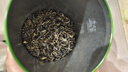 采茶伯茶叶乌龙茶 安溪正宗铁观音500g兰花香新茶茶叶袋装口粮茶 实拍图