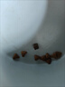 愛肯拿（ACANA）高蛋白幼猫粮助力发育成长无谷猫干粮【官方授权】 【详情页领券更优惠】4.5kg-27/8/29 实拍图