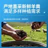 纯羊粪发酵有机肥料10斤种蔬菜园养花水果树农家用肥料通用型批发 内蒙古发酵纯羊粪肥100斤 实拍图