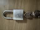 梅花（BLOSSOM）挂锁防锈锁 仓库车厢大门锁 家用学校商铺门锁 防盗叶片锁LS2940 实拍图