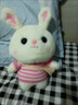 熊猫熊兔子玩偶毛绒玩具小女孩生日礼物女生儿童大布娃娃陪睡觉抱枕公仔 实拍图