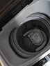樱花10KG全自动洗衣机家用洗脱一体机大容量公斤智能波轮强风干宿舍迷你小型智能洗脱一体大容量 5.5KG 蓝光洗护 强力风干10年质保 实拍图