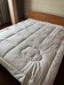 京东京造x顾家家居JK经典 100%天然新疆棉花被子被芯 冬被8斤 2x2.3米 实拍图