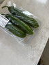【水果菜】荷兰水果黄瓜约400g 实拍图
