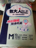 包大人（Dr.P）干爽舒适成人纸尿裤基础型M10片(腰围:70-110cm)老年人产妇尿不湿 实拍图