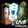 rep-shop爬虫爬宠UVB紫外线10.0节能陆龟饲养箱蜥蜴补钙灯5.0乌龟晒背灯 26W【10.0】 实拍图